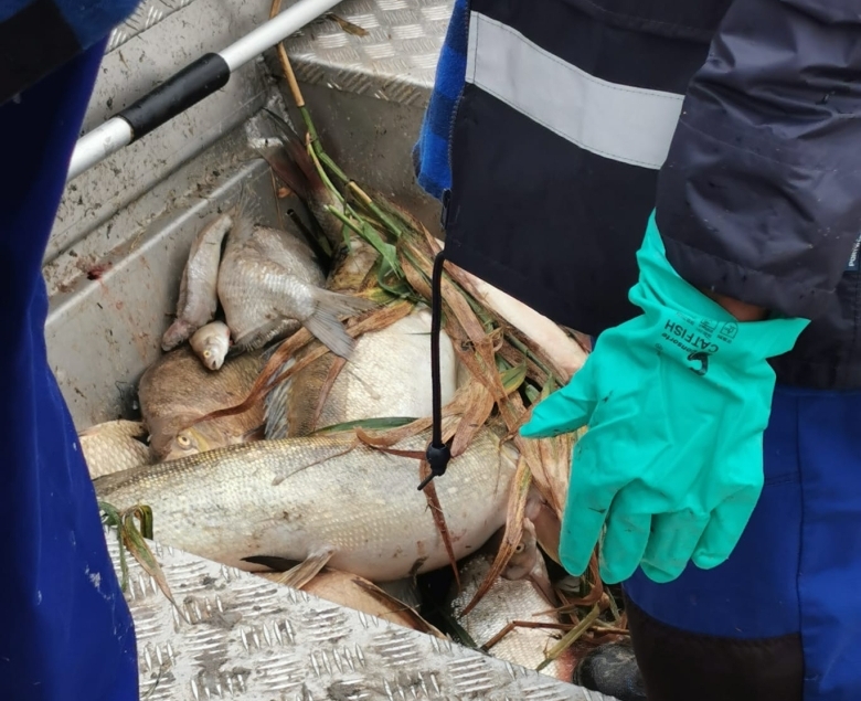 Fot. Dariusz Lesznar