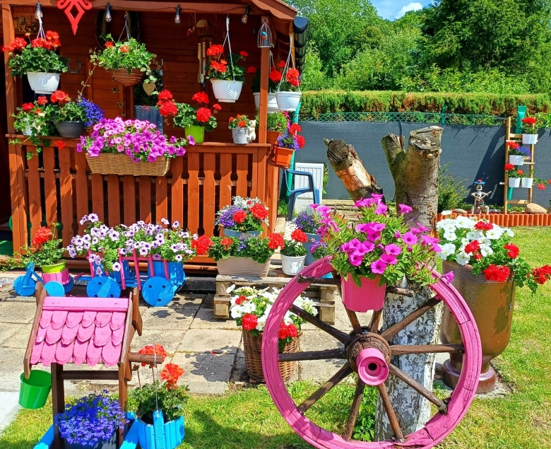 Anna Wodzińska Nagroda Internautów