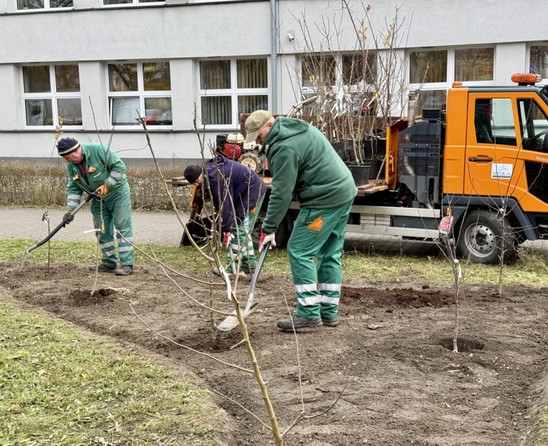 Robotnicy sadzący drzewa